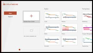 Free Timeline Templates For Professionals Business Plan