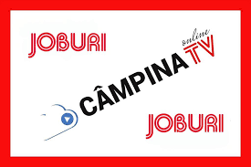 Cautare locuri de munca pentru soferi in chisinau si moldova. Locuri De MuncÄƒ Vacante In Campina È™i Imprejurimi La 13 Noiembrie 2018 Campina Tv