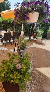 The series rosen garten saga contain themes or scenes that may not be suitable for very young readers. Restaurant Lenders Berlin Home Berlin Germany Menu Prices Restaurant Reviews Facebook