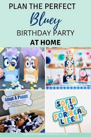 We did not find results for: Bluey Birthday Party Ideas Kids Will Love Birthday Party Boy Birthday Parties Kids Birthday Party