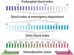 Image result for Shock Index