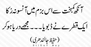 Aankh Kambakht Say Iss Bazm Mein Aansoo Na Ruka Ek Qatray Nay Dooboya Mujhe Darya Ho Kar Poetry Text Poetry Quotes Urdu Poetry