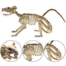Compre Dagu Halloween Rat Skeleton Bones Simulation Horror Props Haunted House Decoration Barato Frete Gratis Avaliacoes Reais Com Fotos Joom