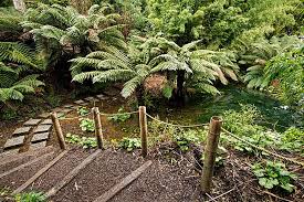 Photo The Jungle At Lost Gardens Of Heligan Lost Gardens Of Heligan Lost Garden Garden