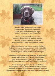 Rainbow bridge pet poem printable google search. Don T Cry Mama Order An Oil Painting Of Your Pet Today At Petsinportrait Com Dog Poems Dogs Pet Remembrance