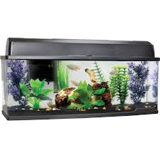 Petco Bookshelf Freshwater Fish Aquarium Freshwater Aquarium Aquarium Fish Aquarium