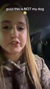 Lost Dachshund Found