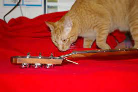 How To Repair A Broken Guitar Neck (Headstock) : 12 Steps (With Pictures) -  Instructables
