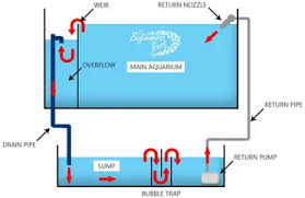 In a sump filter, water drains into a sump, basically a container of water. Aquarium Sumps This Is Everything You Need To Know The Beginners Reef