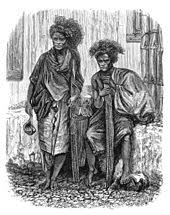Ludwig is the first sentence search engine that helps you write better english by giving you contextualized examples taken from reliable sources. The Malay Archipelago Wikipedia