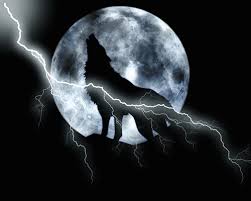 Check out inspiring examples of wolf_gif artwork on deviantart, and get inspired by our community of talented artists. Howling Wolves Gifs 70 Animated Images For Free