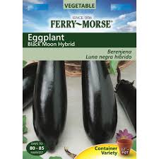 Fernleaf dill is grown for its seeds and foliage. Ferry Morse Eggplant Black Moon Hybrid Seed 9516 The Home Depot