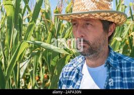 Closeup portrait of serious worker wearing respirateur et casque blanc  isolé sur fond blanc Photo Stock