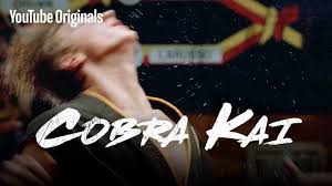 Set of standard size banner for all platforms, you just need to select the. Cobra Kai Rekindles 34 Year Old Karate Kid Rivalry On Youtube Red
