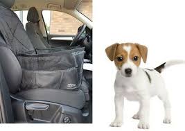 Mar 21, 2021 · librivox about. Hundetasche Auto Sitzschoner Hunde Tasche Faltbar Fur American Hairless Terrier Ebay