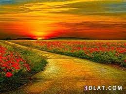 أجمل صور للغروب والشروق صور الطبيعه الشروق والغروب صور شروق وغروب الشمس روعه Road Scenic Nature