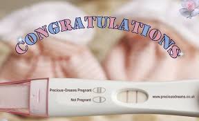 I Should Have Her By October Some Time My Lavender Star Baby Girl Reborn Baby Girl Reborn Toddler Toddler Cookies