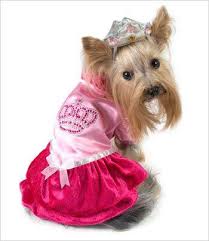 Princess With Crown Costume For Dogs Dog Halloween Outfits Dog Halloween Costumes Princess Dog Costume