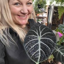 Plant shop recommendations in Cocoa, FL?