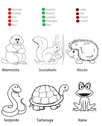 Quali Animali Vanno In Letargo E Perche Scheda Animali Da Colorare Oggi Mamma News Animali Immagini Di Scuola Canzoni Per Bambini