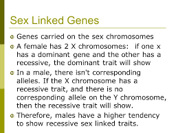 If there is no genetic information on the y chromosome for a certain trait, the effect of the y is neutral and the allele on his x chromosome, which would be recessive in a heterozygous woman, can now alone come to expression. Modern Genetics Human Inheritance Some Traits Are Formed From Single Genes 2 Alleles Some Are Formed From Multiple Genes Multiple Alleles Example Ppt Download