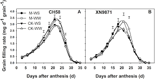 1 l of water at room temperature weights 1 kg or 1 finally to convert to ounces, note that 1 ounce = 28.35 grams. Plos One Physiological Mechanisms Contributing To Increased Water Use Efficiency In Winter Wheat Under Organic Fertilization