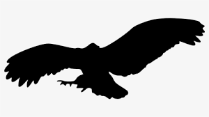 Eagle Silhouette Png Images Transparent Eagle Silhouette Image Download Pngitem Clip art outline image of eagle. eagle silhouette png images