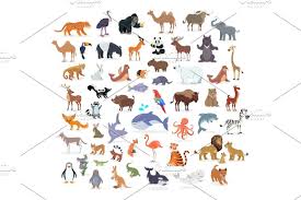 Animal Full Length Portraits Collection On White Zoo Animals American Animals Colorful Parrots