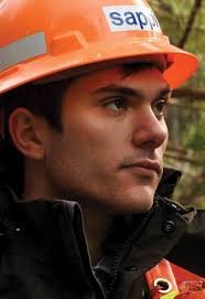 Rooted in healthy forest management