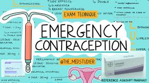 Image result for Emergency Contraception
