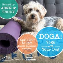 We did not find results for: Doga Doggy Yoga At Sports Basement Campbell Campbell Ca On Sat Apr 28 2018 At Sports Basement Campbell Sanjose Com