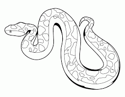 It is the biggest species of snakes in the world. Snakes Coloring Pages Printable Coloring Home
