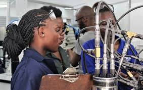 Artisan development programme for unemployed youth. A Skilled Workforce Will Drive Growth Artisan Training Institute