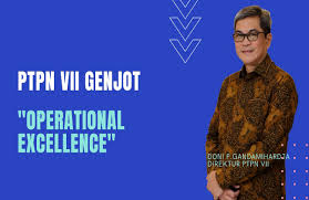 .as ptpn12, is a human gene.cite web | title = entrez gene: Pt Perkebunan Nusantara Vll