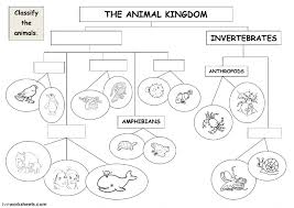 The Animal Kingdom Classification Diagram Interactive