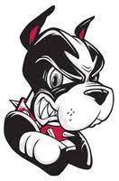 Or Shall We Say Celebrities Owned By Boston Terriers Lol There Are Many Celebrities Who A Boston University Terriers Boston University Boston Terrier Love