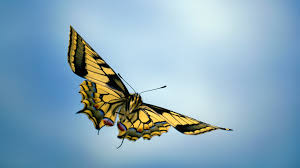 Image result for picture of a butterfly flying