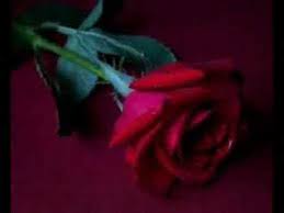 Baby Baby Fallin In Love Youtube