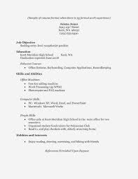 Beginner Resume Sample Without Work Experience