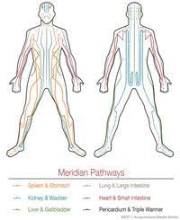 Acupuncture Meridian Pathways Meridian Charts