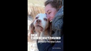 Maybe you would like to learn more about one of these? Dein Tierschutzhund Zieht Ein Fremde Im Paradies Gerrit Stephan