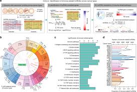 Pink tea games patreon censored: Pan Cancer Characterization Of Immune Related Lncrnas Identifies Potential Oncogenic Biomarkers Nature Communications