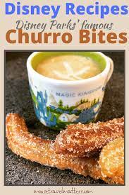 Make Disney Parks Famous Churro Bites At Home Mouse Travel Matters Recipe Disney Food Disney Parks Disney Tips
