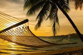 My sister and her boyfriend have just s____ u___. The Bula Club The Jean Michel Cousteau Resort S Superb Children S Program