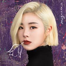 Wheein'in iyi bir şarkı ile solo dönüşünü dört gözle bekliyorum ve mamamoo'nun faaliyetlerine devam ettiğin için teşekkür ederim. Magnolia Mamamoo Wiki Fandom
