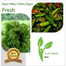 We did not find results for: Daun Paku Sayur Segar 1kg Pakis Fresh Sayuran Langka Lazada Indonesia