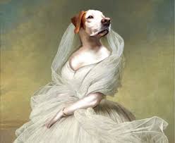 We did not find results for: Artist Makes Portraits Of Pets As Royalty Simplemost