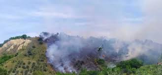 Un incendio si è sviluppato nel pomeriggio di oggi, domenica 1 agosto 2021, nella zona sud della. Incendio Pescara Notizie Da Abruzzo24ore