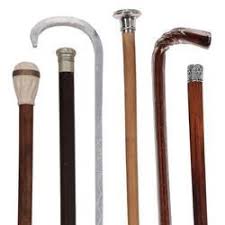 Image result for walking sticks