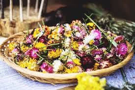 Maybe you would like to learn more about one of these? The Best Methods For Drying Flowers And Which Plants Work Best